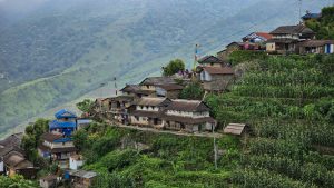 A scenic landscape photo of a traditional Nepalese village built onto a steep, green hillside. Multiple houses with dark, pitched roofs are clustered together, interspersed with vibrant green vegetation and terraced farming plots. In the background, misty, tree-covered mountains rise under a soft, overcast sky.