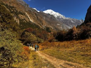 A group of hikers trek along a dirt path through a vibrant autumn mountain valley towards snow-capped peaks in Langtang, Nepal. This text is crucial for accessibility and helps search engines understand the image content. It is descriptive and includes the relevant location keyword. 