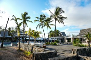 Sunny outdoor poolside at a tropical resort with tall palm trees, stone walls, and lounge chairs under white umbrellas.