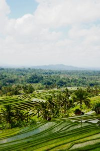 Thailand rice terraces at a UNESCO World Heritage Site in the afternoon with a small mountain in the distance