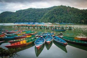 A wide landscape photograph of colorful wooden rowboats clustered on the green water of Phewa Lake in Nepal. The boats are painted in vibrant primary colors. In the background, a row of covered pedal boats sits in front of a large, tree-covered hill under a gray, cloudy sky.