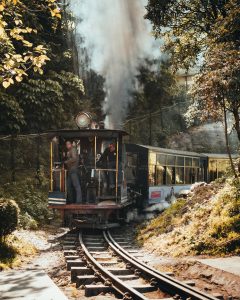 A vintage B-Class steam locomotive of the Darjeeling Himalayan Railway, also known as the DHR or the Toy Train, moving along narrow-gauge tracks through a forest area. Two people are visible in the locomotive cabin as steam billows into the air.