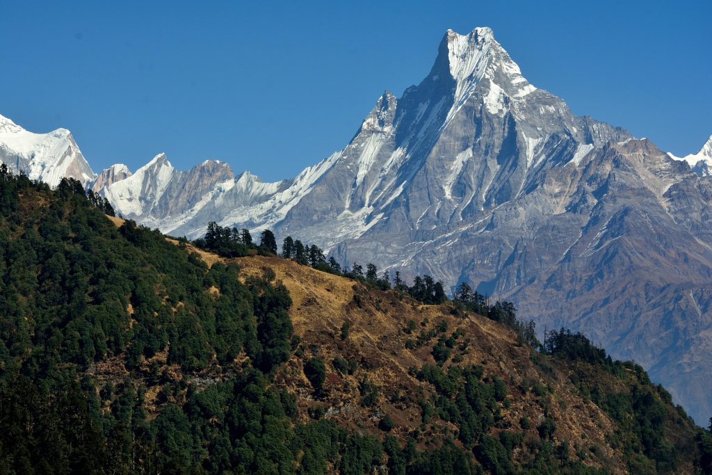 Snow-capped Machapuchare peak above a lush green ridge in Nepal's Annapurna Conservation Area.