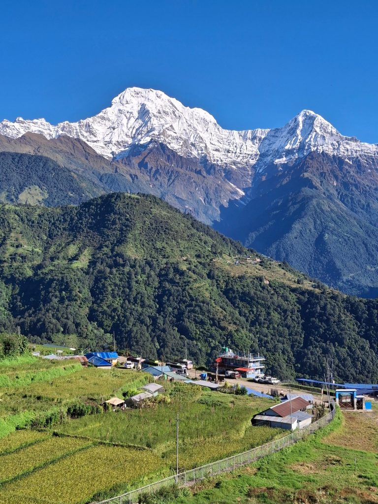  Panoramic view of Ghandruk village in Nepal with terraced fields and blue-roofed houses, set against the snow-covered peaks of Annapurna South and Hiunchuli under a clear blue sky.