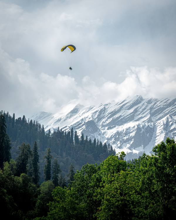 The Ultimate Guide To Adventure in Nepal: Paraglider soaring in the sky above pine forests and snow-capped Himalayan mountains in Nepal